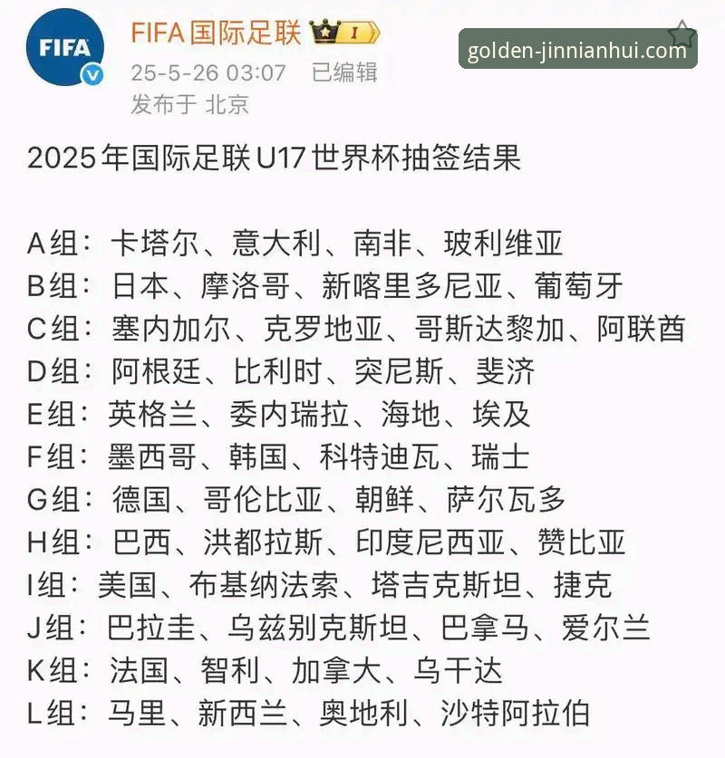 世界杯排名剧烈波动 vs 金年会专业平台：哪支球队最值得关注？